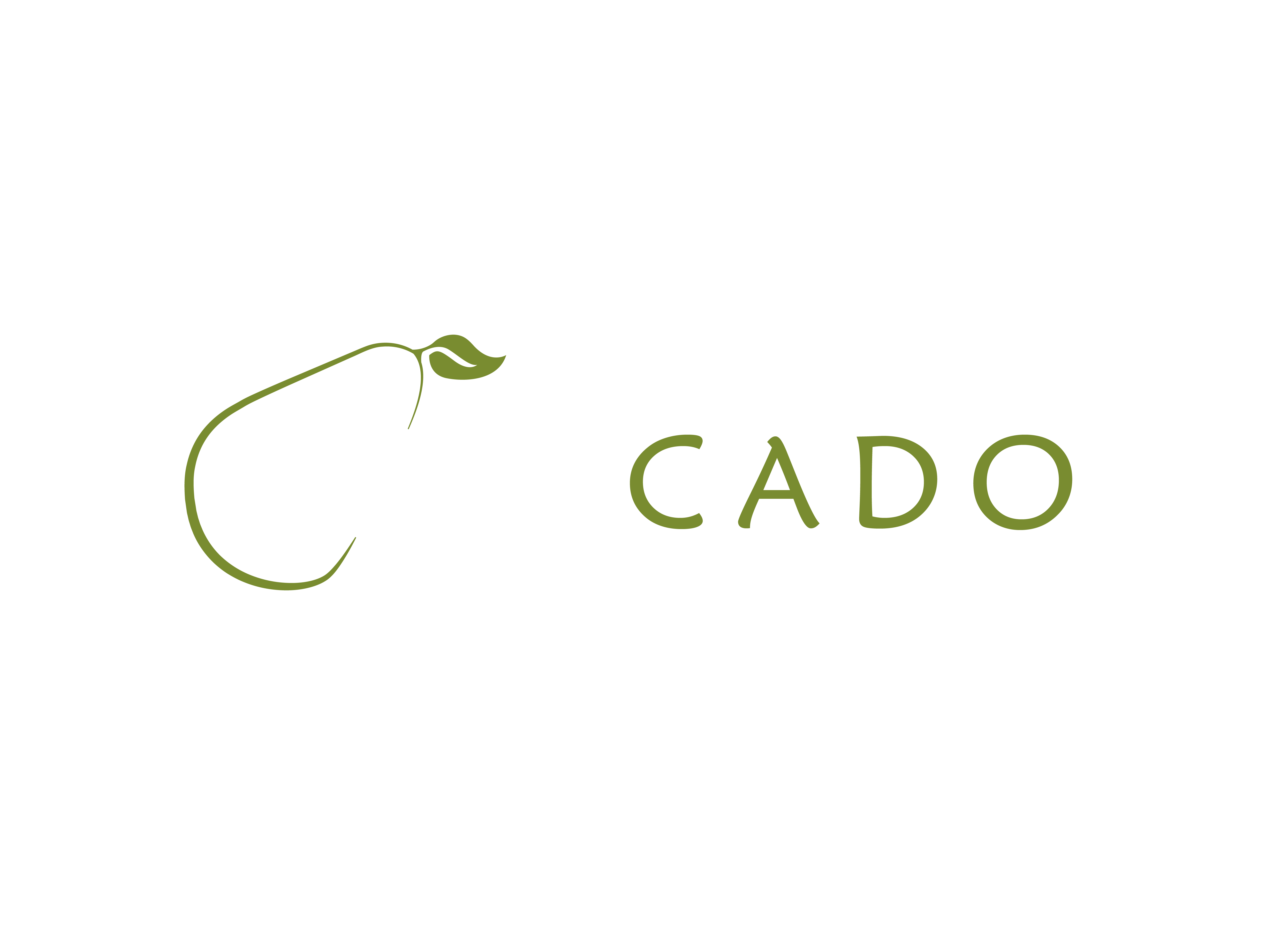 Opticado
